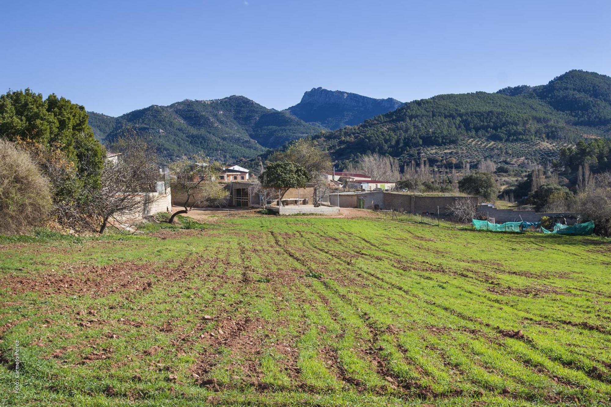 Casa Rural Chache Casto Bienservida Bagian luar foto